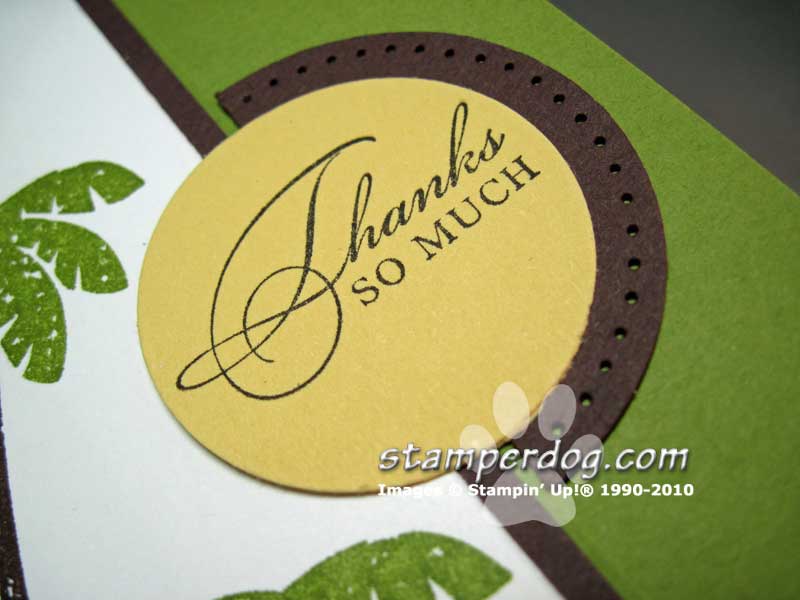 Click for Close Up Click for Close Up