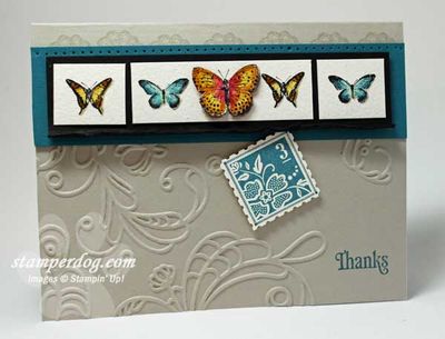 Butterflies Butterflies