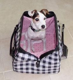 Doodles-Bag Doodles-Bag