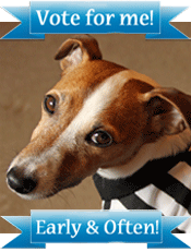 ContestButton