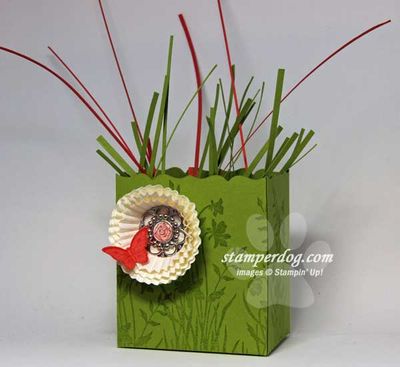 Lucky Limeade Gift Box Lucky Limeade Gift Box