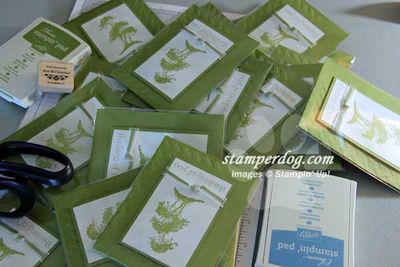 Stampin' Up! Fiji Swap Stampin' Up! Fiji Swap