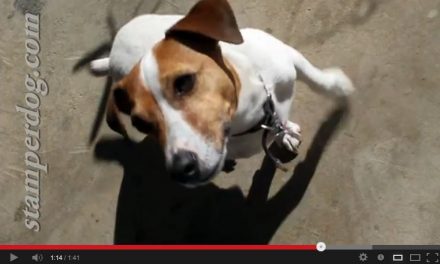 How Do You – Video