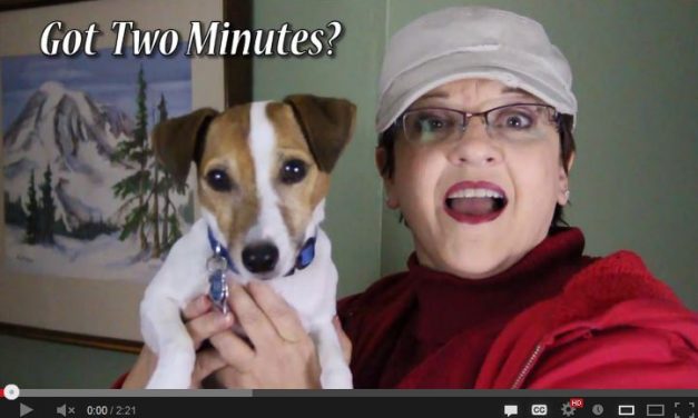 How to Use a Stamp-A-MaJig Stamp Positioner Video