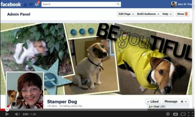 Calling All Facebook Fanatics!