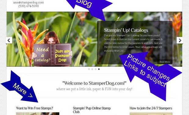 How to Navigate StamperDog.com