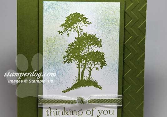Have You Grabbed Your Greetings Yet?