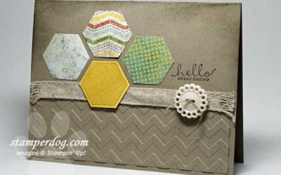 Six Sided Sampler & Digital Downloads