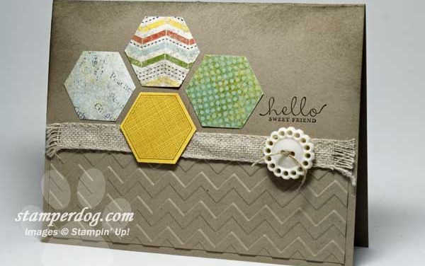 Six Sided Sampler & Digital Downloads