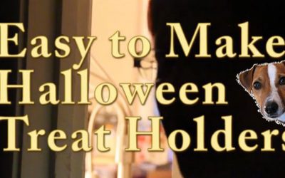 Video:  How to Make a Quick and Easy Halloween Treat Holder