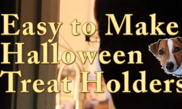 Video:  How to Make a Quick and Easy Halloween Treat Holder