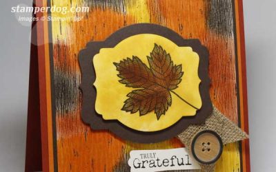Last Day for a Fantastic Fall Special