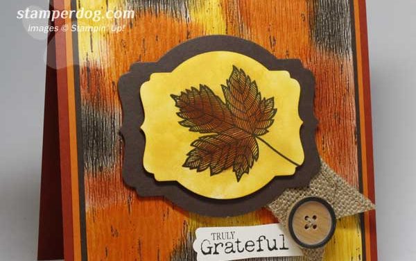 Last Day for a Fantastic Fall Special