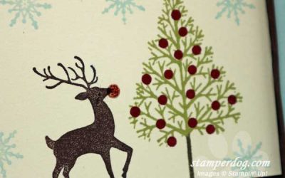Rudolph has a Big Nose!