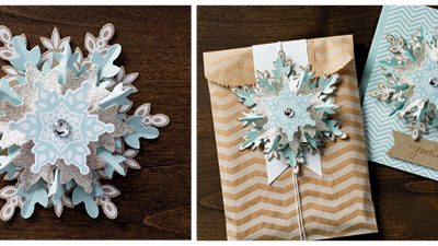 Weekly Deal and Ornament Kit