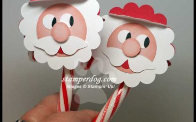 Did You See Santa?