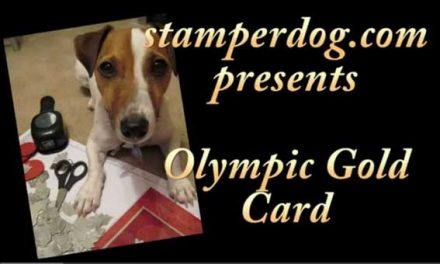 DIY Winter Olympics Greeting Card Video