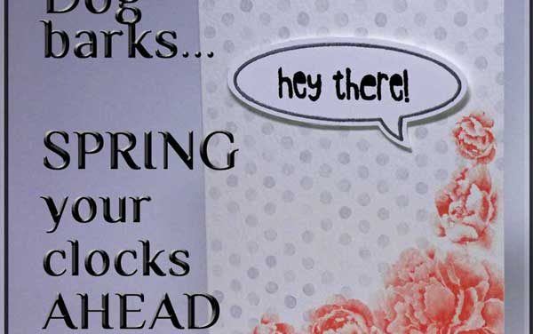 Spring Ahead Tonight!