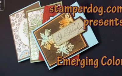 Emerging Color Leaves Video