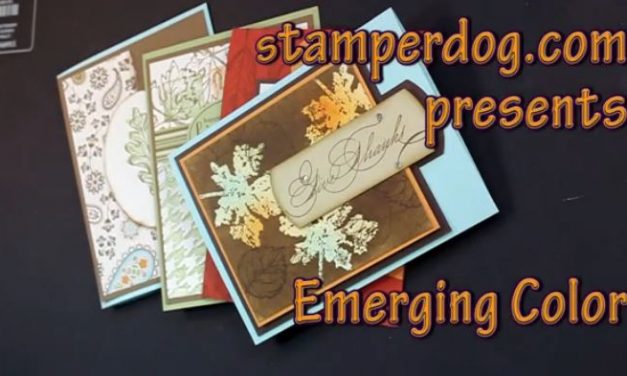 Emerging Color Leaves Video