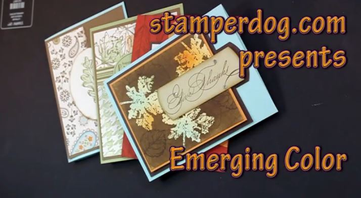 Emerging Color Leaves Video