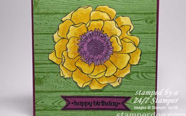 Blended Bloom Sneak Peek