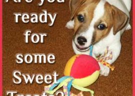 We’re Saving Sweet Treats for You!