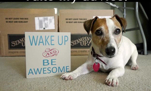 Wake Up & Be Awesome!