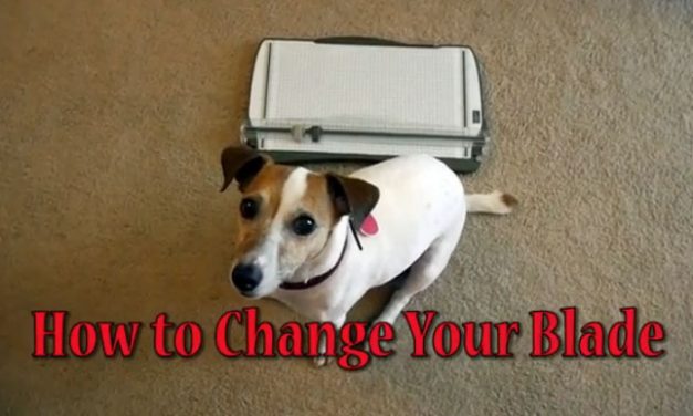 Video: How to Change Stampin’ Up! Trimmer Blades