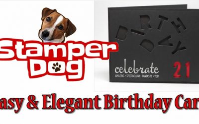 VIDEO: How to Make an Easy & Elegant Birthday Card