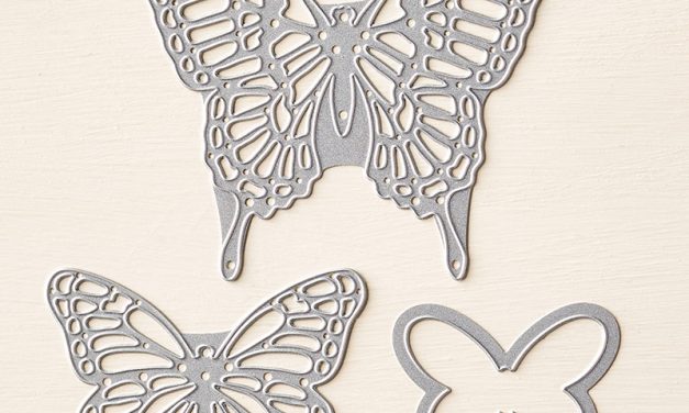 The Butterflies Have Arrived!