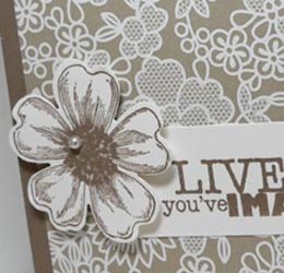 Not Your Every Day Wedding Card