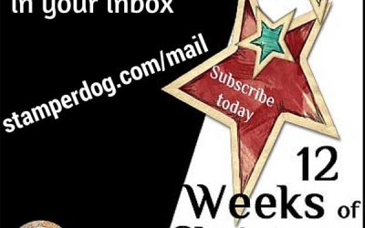 12 Weeks of Christmas Ideas Starts Tonight in Your In Box!