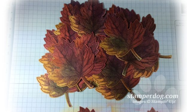 Vintage Leaves Surprise