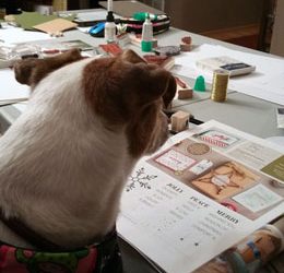 Over 325 Christmas Card Ideas