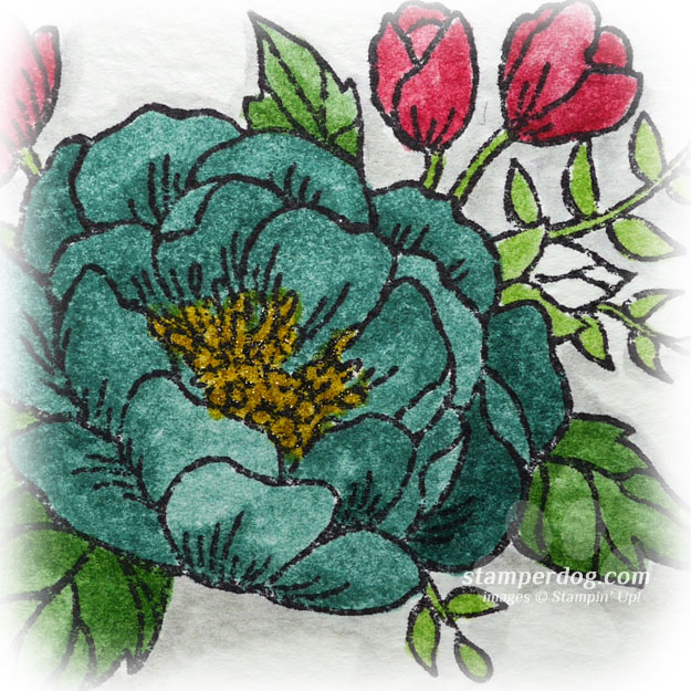 A Special Birthday Card for a Special Lady