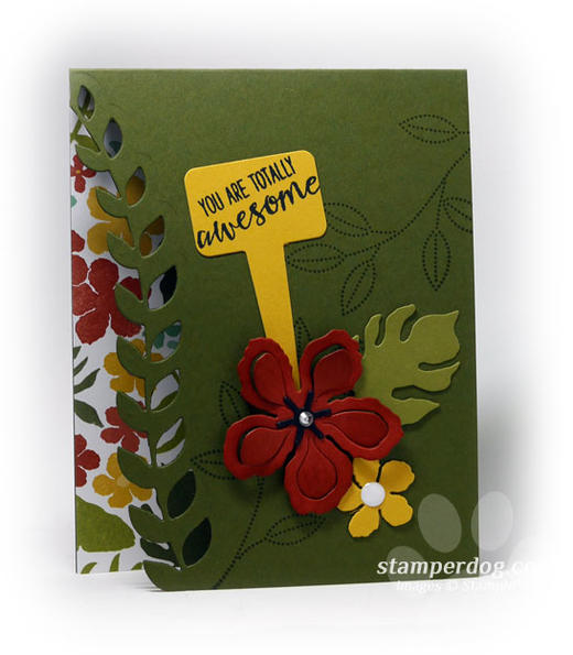 Peekaboo Card