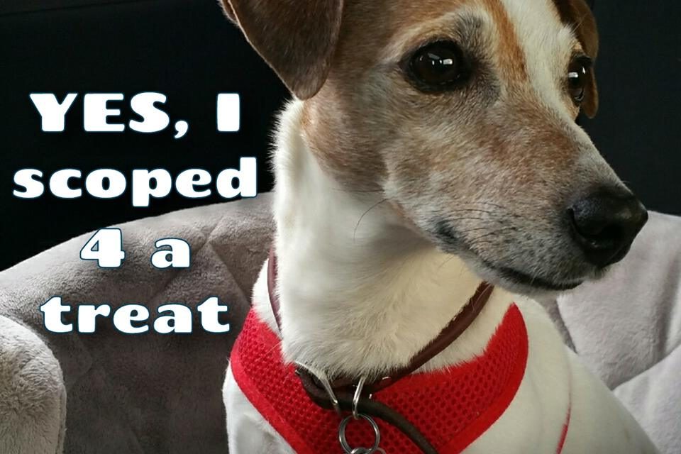 You Asked So We’re Doing It Again