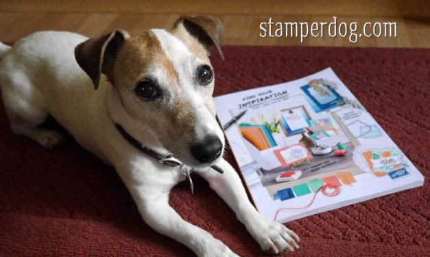 Free Stamps for a Perfect Score!