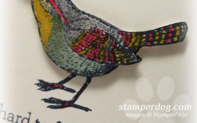 A Little Birdy Told Me….