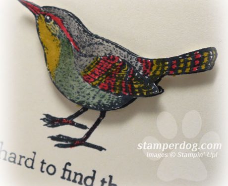 A Little Birdy Told Me….