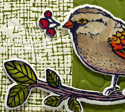 Best Bird of Sympathy