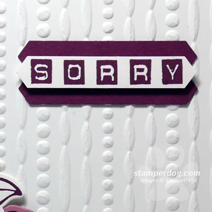 I’m Sorry Card