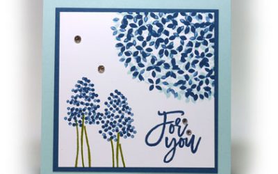 The Little Square Card that Could