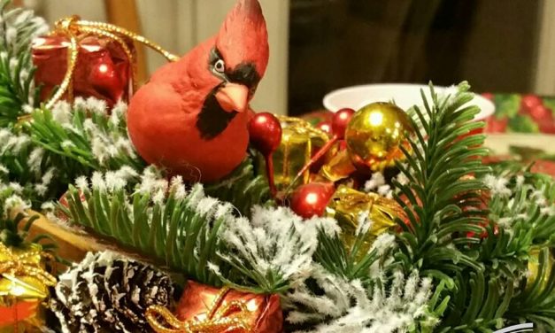 Merry Christmas!