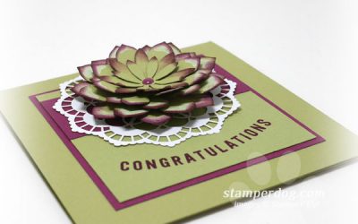 A Little Congratulations Card