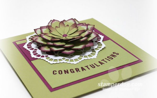 A Little Congratulations Card