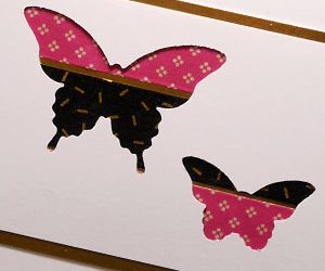 Do You Love Butterflies?
