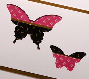 Do You Love Butterflies?