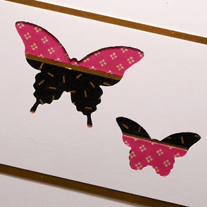 Do You Love Butterflies?